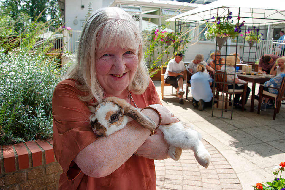 Adorable Rabbit