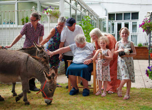 My Family and Other Animals