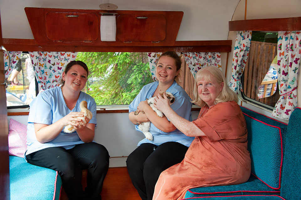 Rabbits in the Reminiscence Caravan